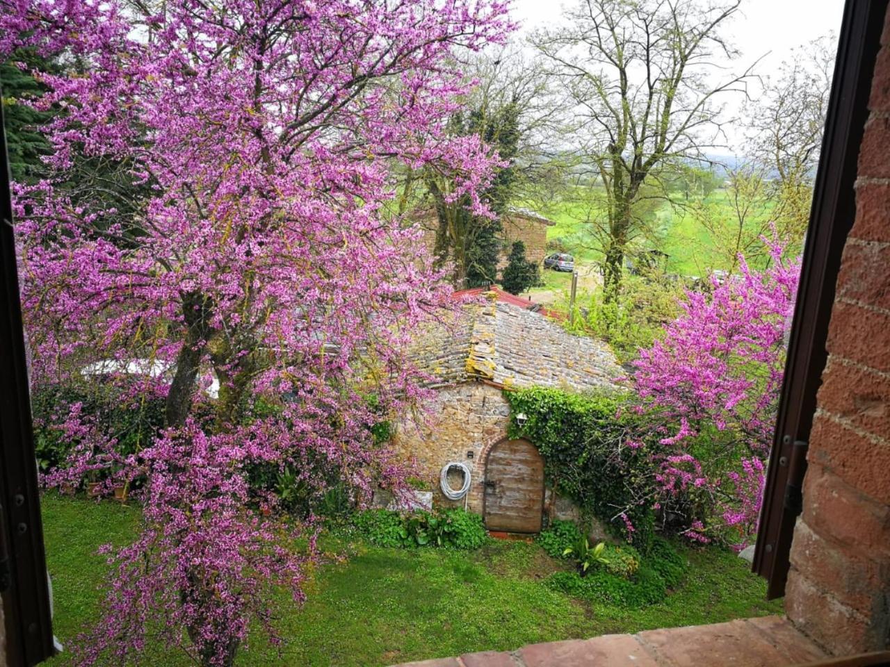 Claudia Vacanza Toscana - Appartamento Nocciolo- 10 Min Da Siena Malignano Exteriör bild