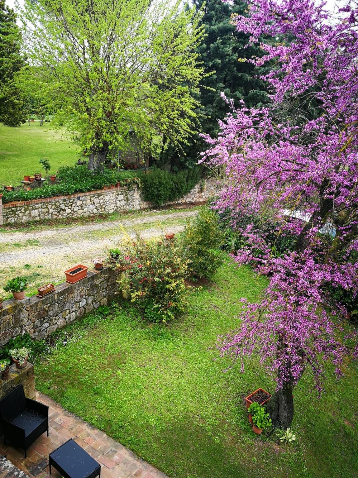 Claudia Vacanza Toscana - Appartamento Nocciolo- 10 Min Da Siena Malignano Exteriör bild